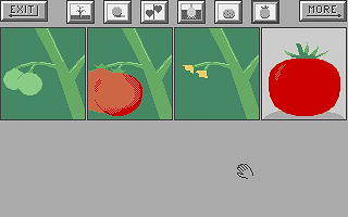 Me First atari screenshot
